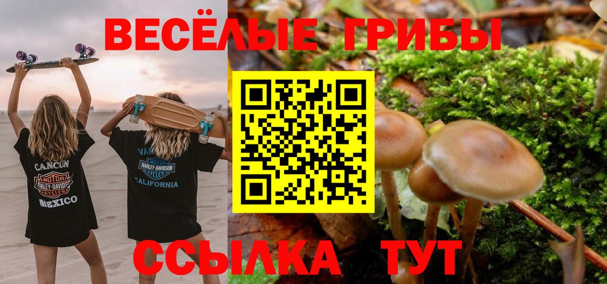 Псилоцибиновые грибы MAGIC MUSHROOMS Киржач