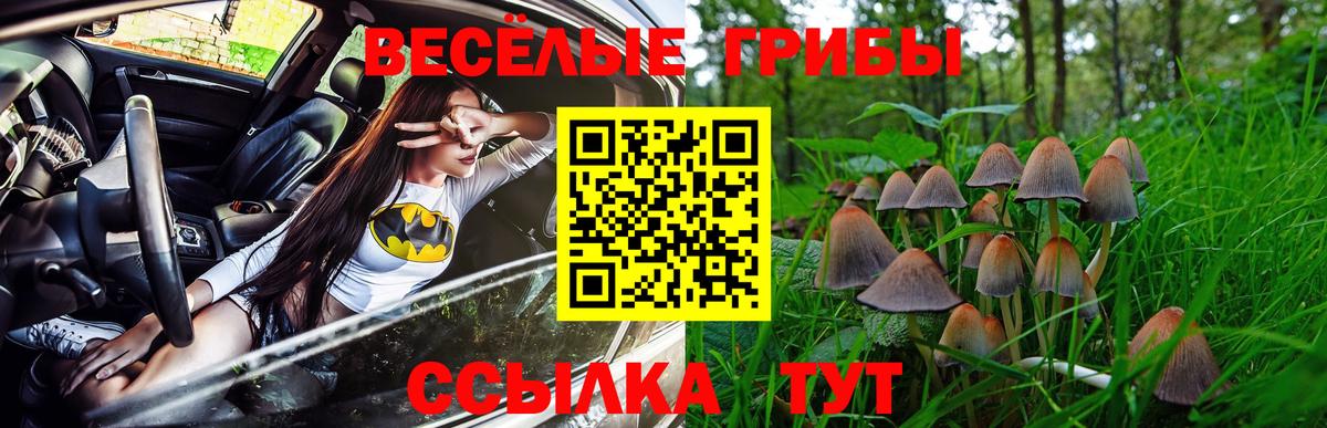 Киржач  Галлюциногенные грибы ЛСД  Вход с VPN 
